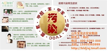 臨朐玻璃膠廠與寶龍達(dá)集團(tuán) 如何利用個人互聯(lián)網(wǎng)服務(wù)實現(xiàn)在線咨詢？